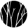 G Linguist profile picture